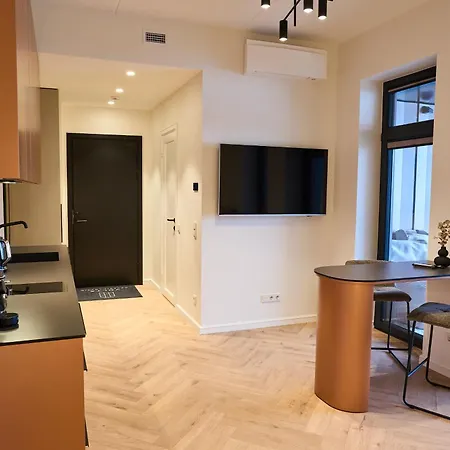 Volta Gallery Loft With Ac, 24m2 Terrace And High Speed Wifi טאלין